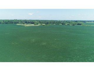 Farmland in Benton & Boone Counties, Indiana - LAND AUCTION - 118.5+/- ACRES IN 3 TRACTS IN BENTON & BOONE COUNTIES, INDIANA